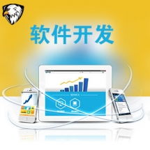 一品威客網(wǎng)軟件外包服務(wù)報(bào)價(jià)與收費(fèi)解析 專業(yè)、透明、高性價(jià)比的開發(fā)選擇
